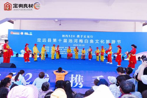 魚躍池河 詩畫定遠——第十屆池河梅白魚文化旅游節(jié)文體活動策劃方案